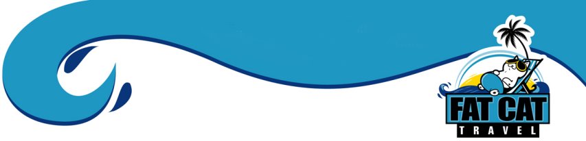 Fat Cat logo header